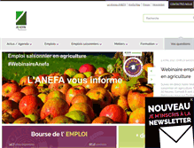 Tablet Screenshot of anefa.org